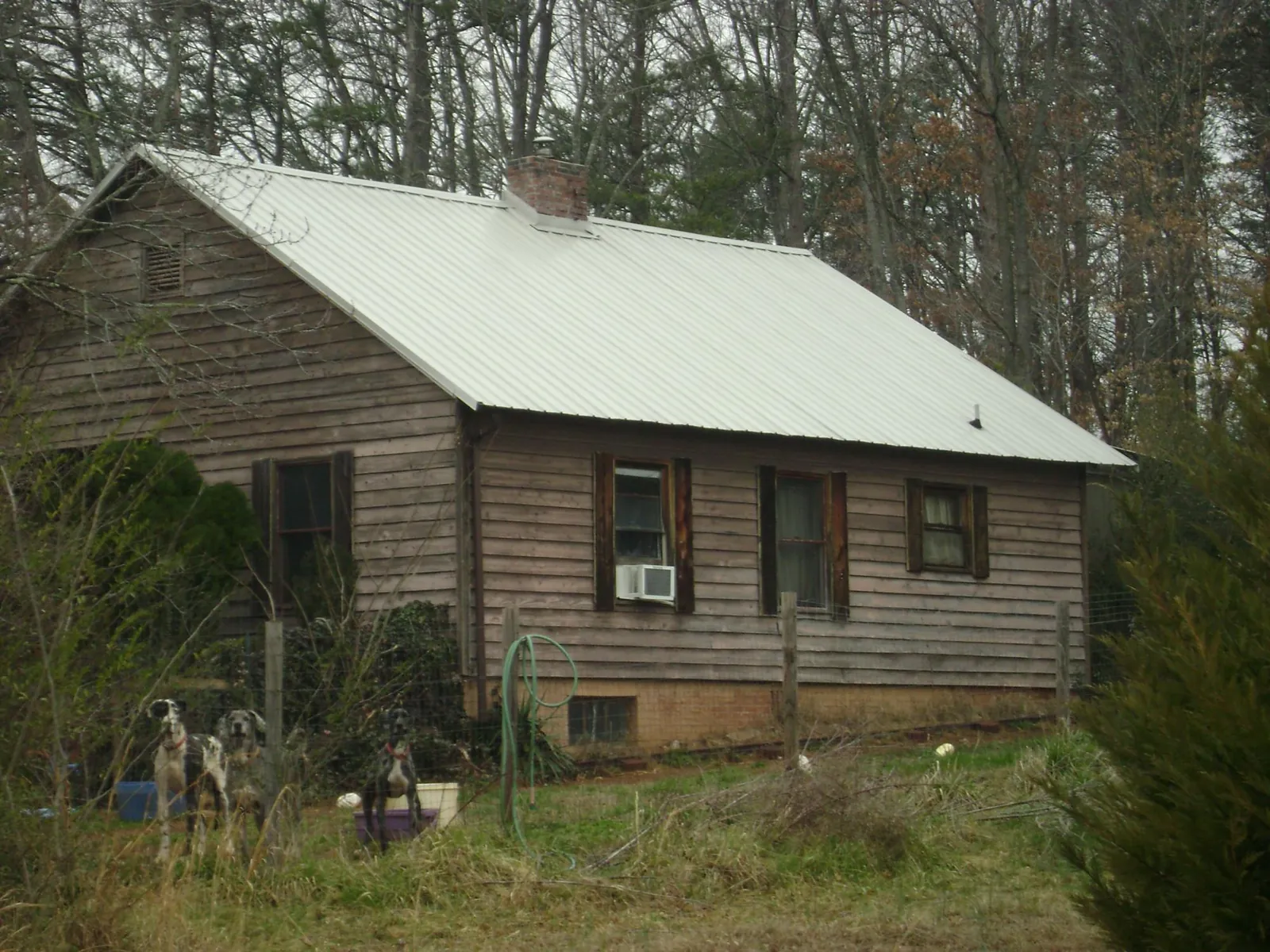 White metal roof on an old wood sided farmhouse, from a Asphalt Shingle Roof Repair job in Dougherty